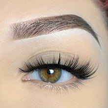 Load image into Gallery viewer, Manifest