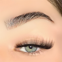 Load image into Gallery viewer, Midnight