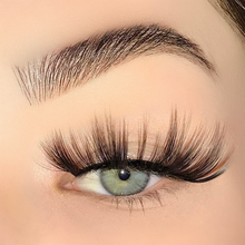 Load image into Gallery viewer, Ultimate "Nova" Pack